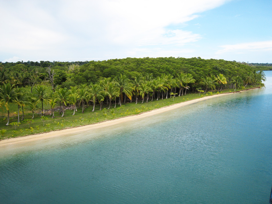 Gorgeous palm-fronted beach.