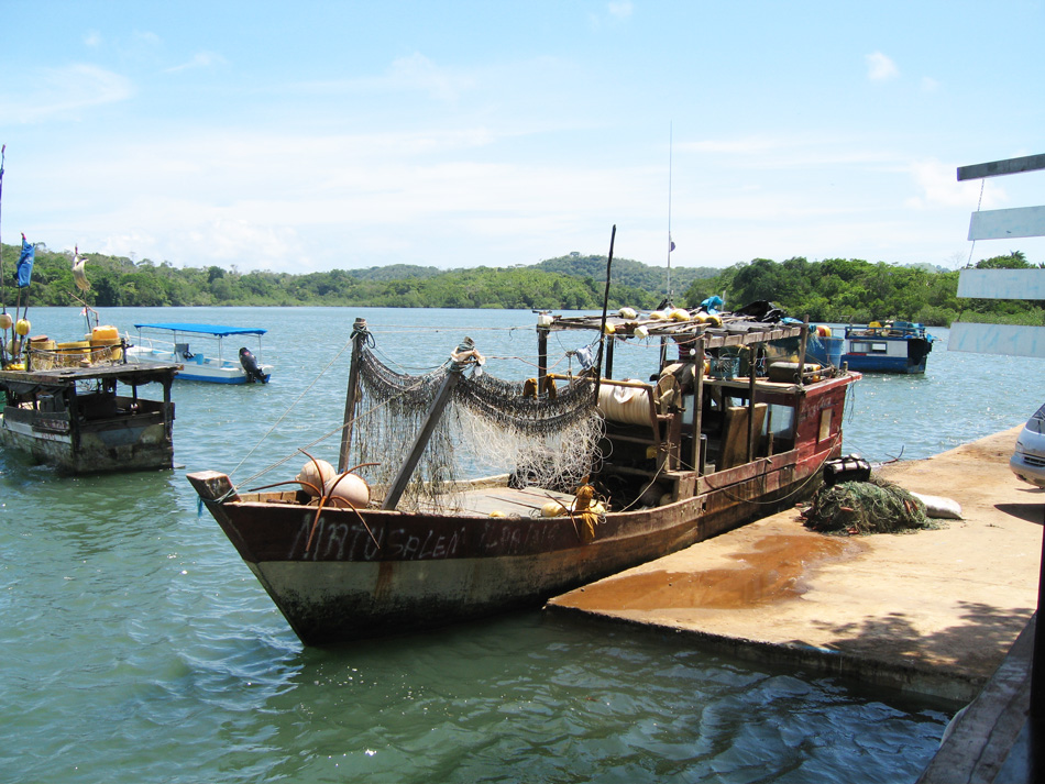 Fishing nets drying in the sun.