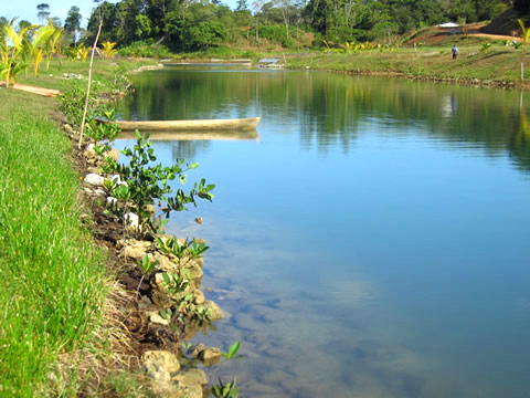 Sunset Point rea estate: Panama canals.