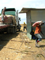 Bocas del Toro delivery.