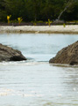 October 2008: The waters level off.