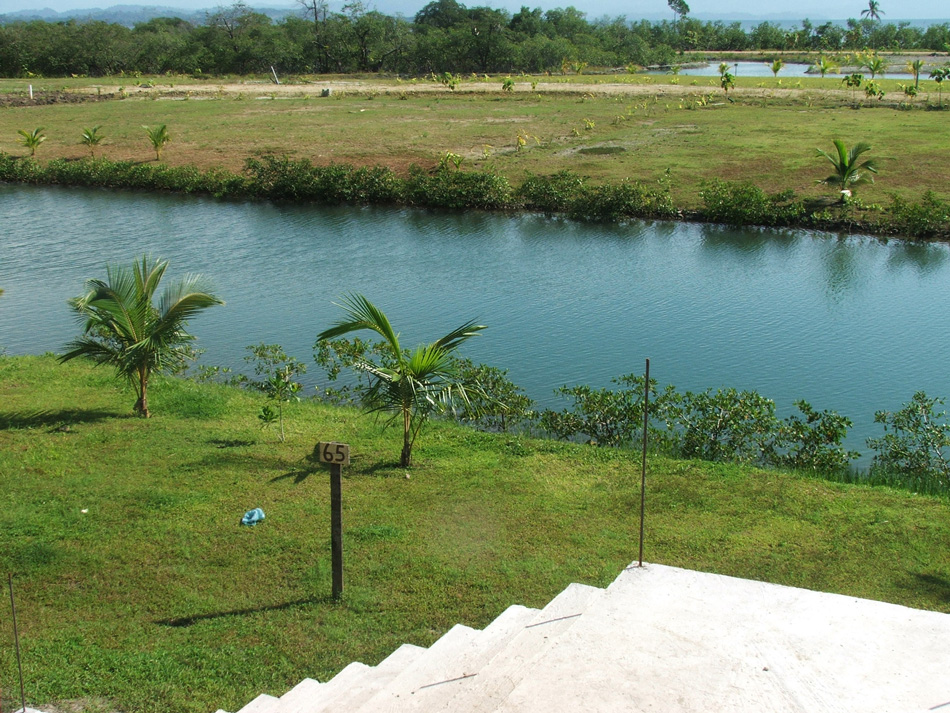 View No. 2 from the staircase.