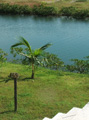 View No. 1 from the staircase.