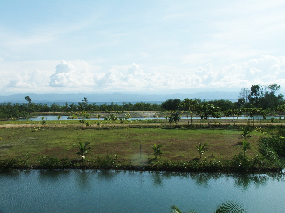 View No. 2 from the staircase.