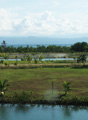 View No. 2 from the staircase.