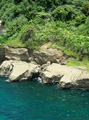 Rugged coastline on nearby island.