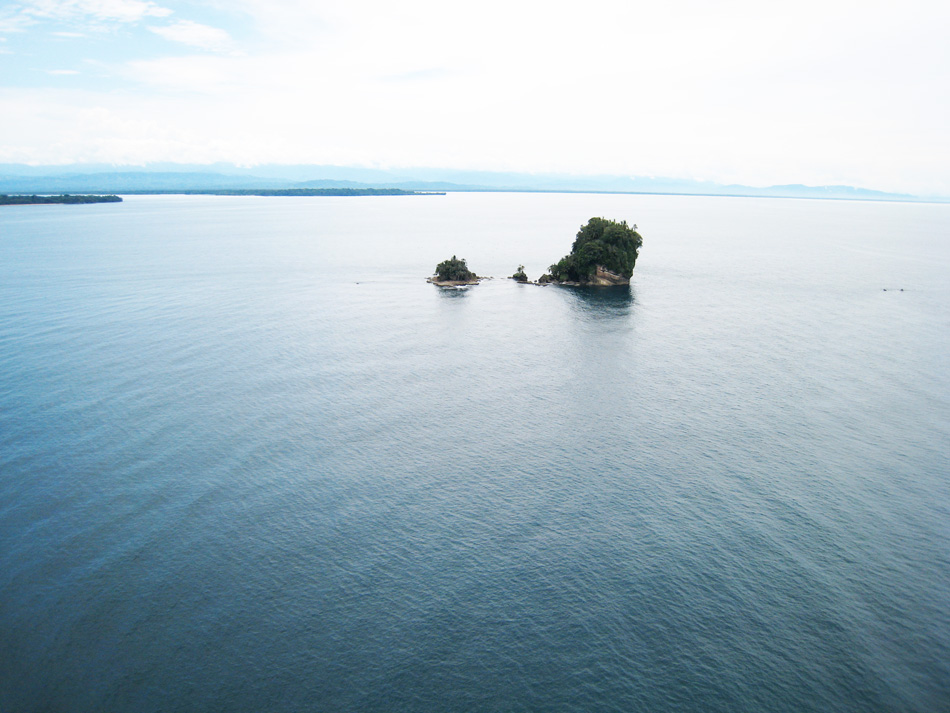 The fabulous Bird Island