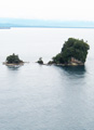 Bird Island.