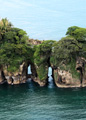 Bird Island.