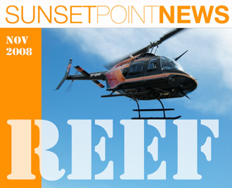 REEF: our new November 2008 Newsletter.