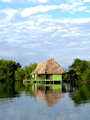 Panama lagoon, Bocas del Toro.